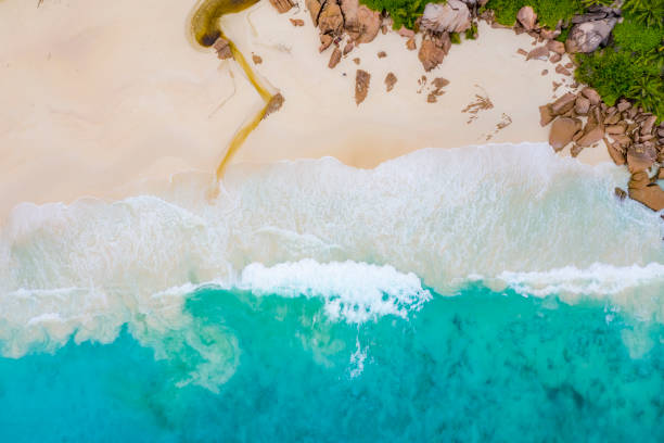 istock Seychelles beach Grand Anse La Digue 1215932936