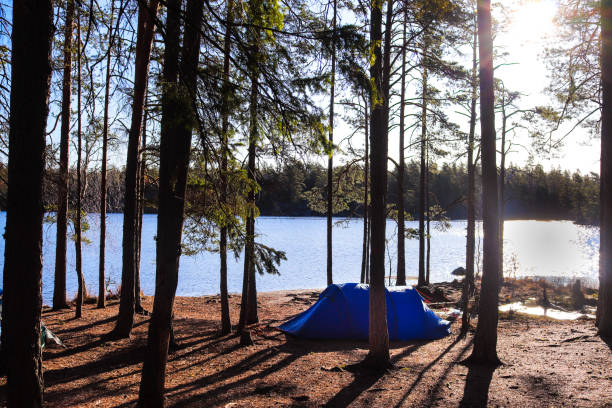 istock Camping by the lake in Tyresta national park 1215933017