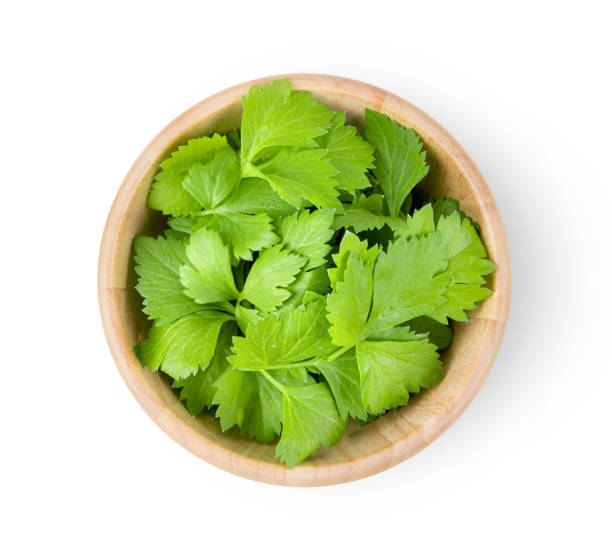 istock celery leaf in wood bowl isolated on white background 1215934963