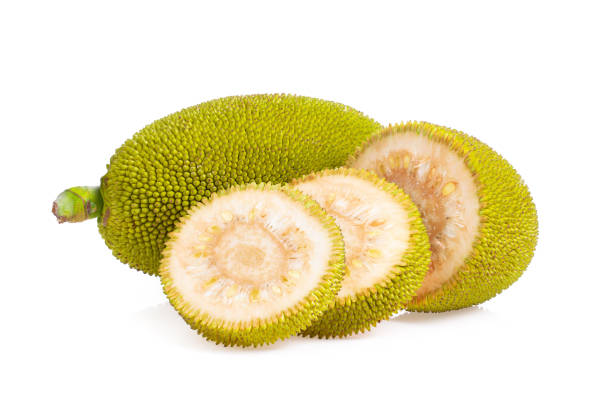 istock jack fruits on white background. full depth of field 1215935580