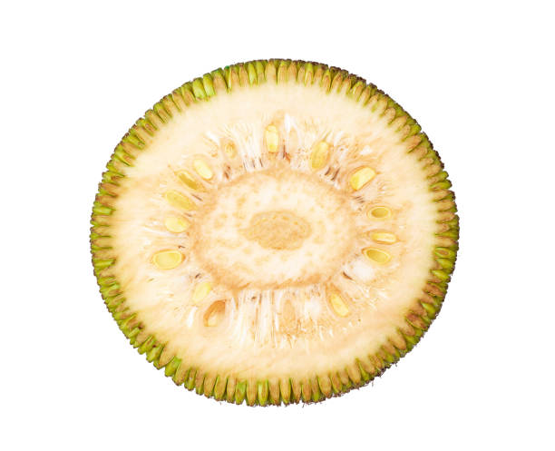 istock young jack fruits slice on white background. top view 1215935610