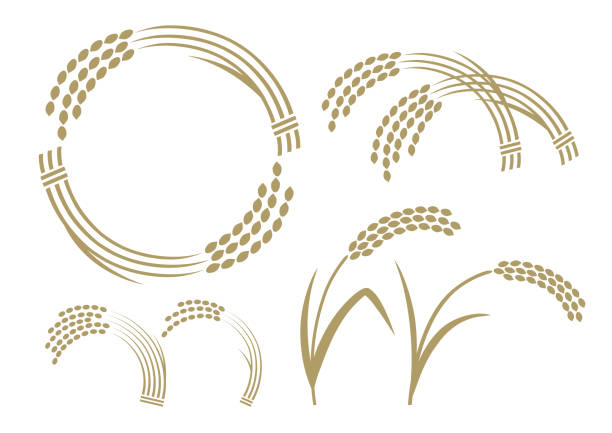 ikon telinga tanaman padi - paddy ilustrasi stok
