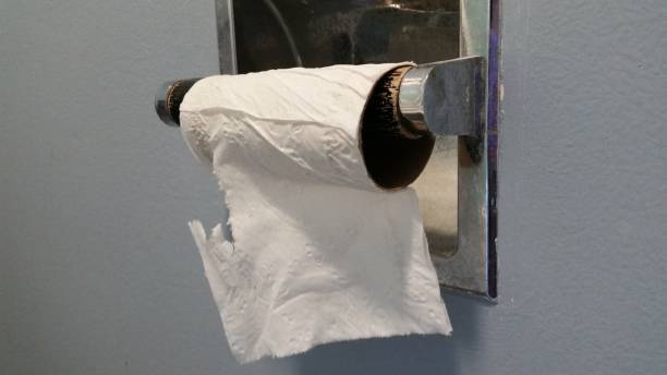 istock Empty Roll of Toilet Paper During Coronavirus Pandemic 1215935788