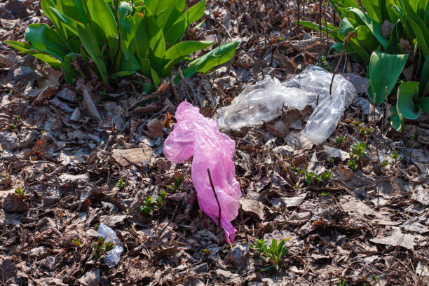 plastic bags on green grass with tulip flowers in park.global trash problem, dirty ecology concept.earth,water pollution - toxic substance spilling pouring bottle imagens e fotografias de stock