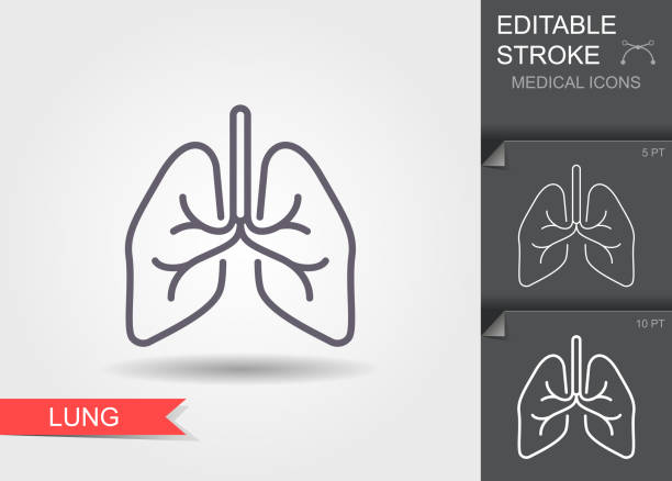 ilustraciones, imágenes clip art, dibujos animados e iconos de stock de pulmones. símbolos médicos lineales con trazo editable con sombra - pulmón