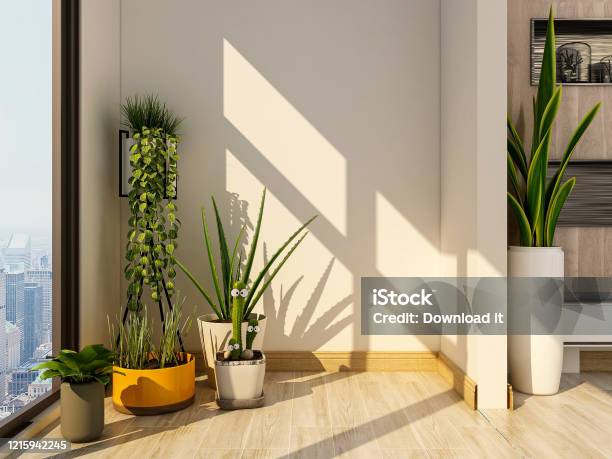 3d Rendering Spacious And Bright Urban Residential Enclosed Balcony Design Green Plants And White Cabinets Look Casual And Comfortable Stock Photo - Download Image Now