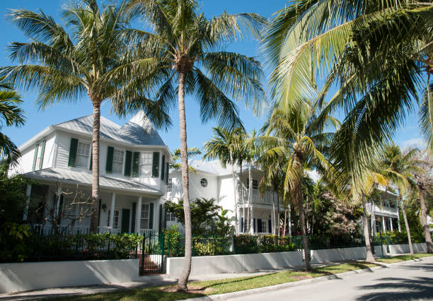 istock Topical Street in Key West Town 1215942606
