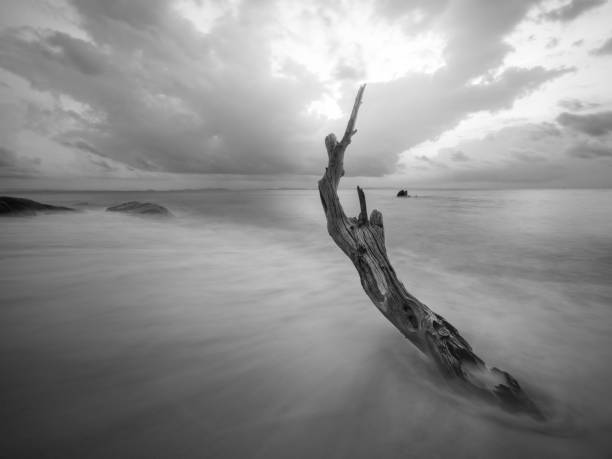 istock Black and white beach wallpaper 1215944554