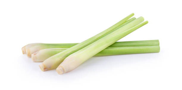 istock Lemongrass on a white background. full depth of field 1215948298