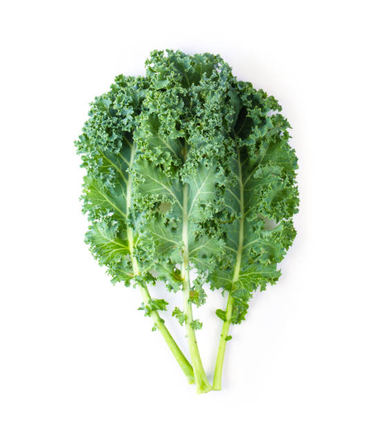istock Fresh organic green kale leaves pattern on a white background. top view 1215948300