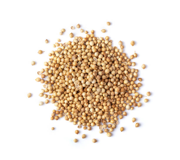 istock Coriander seeds isolated on white background. top view 1215948312