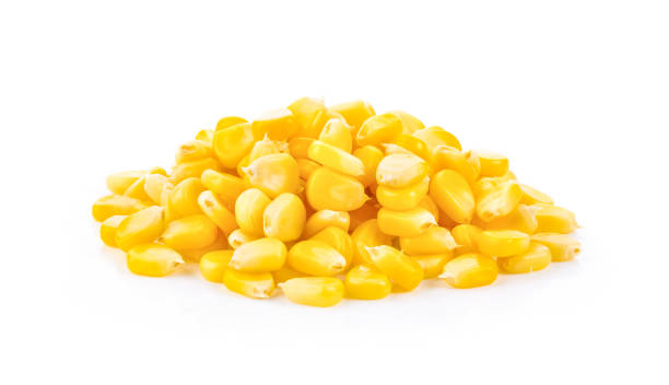istock corn seeds isolated on white background. full depth of field 1215948873