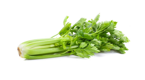 istock Fresh celery isolated on white background. full depth of field 1215948940