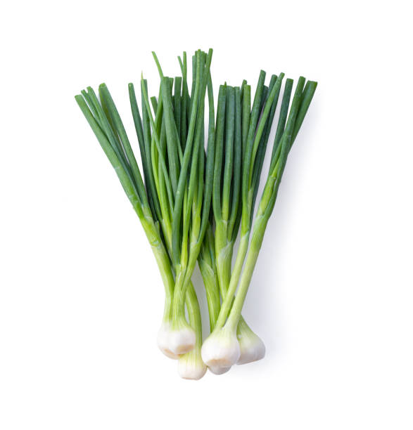 istock Green onion isolated on the white background . ftop view 1215948950