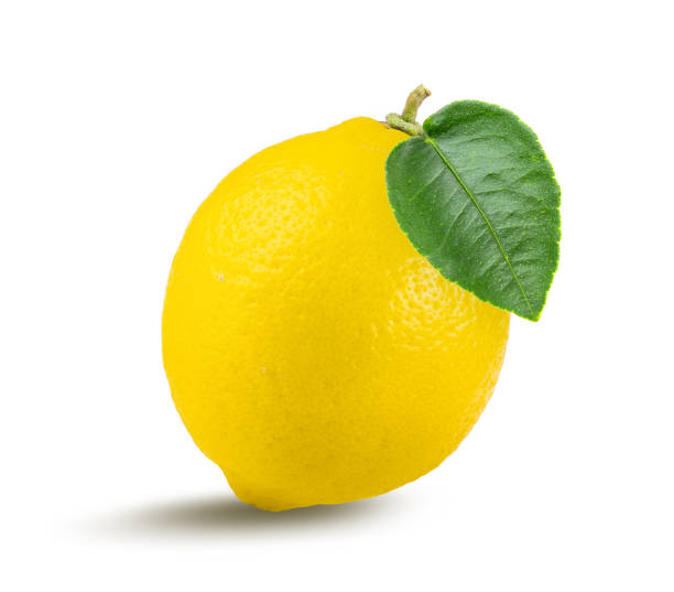 istock lemon fruit with leaf isolated on white background. full depth of field 1215948981