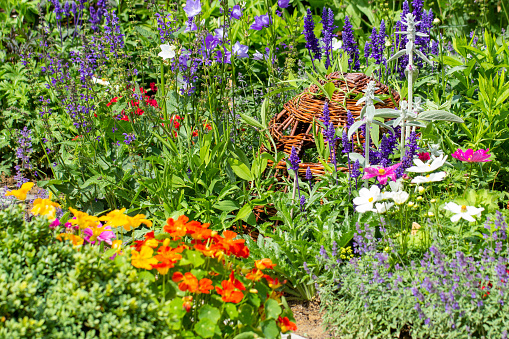 Flowers and herbs in the garden