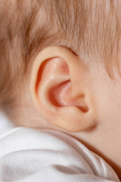 istock Close up of baby ear 1215952276