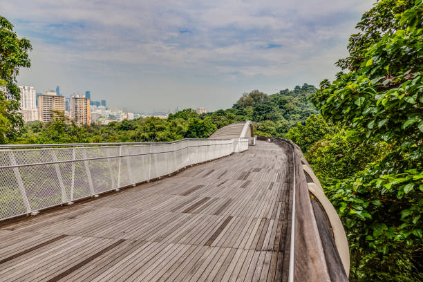 View on Henderson Wave pedestrian bridge in Singapore during daytime View on Henderson Wave pedestrian bridge in Singapore henderson waves bridge stock pictures, royalty-free photos & images