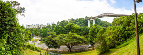 istock View on Henderson Wave pedestrian bridge in Singapore during daytime 1215954950