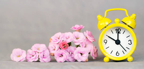 istock Mothers day concept, alarm clock and flowers, web banner 1215957020