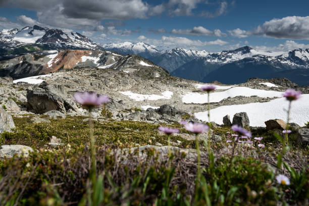 istock Whistler mountains, British Columbia, Canada 1215957779