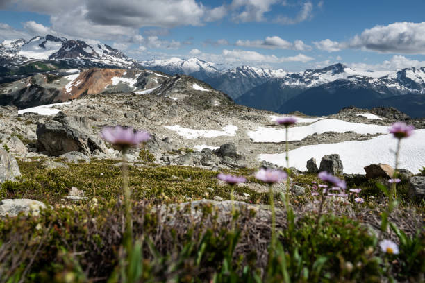 istock Whistler mountains, British Columbia, Canada 1215957792