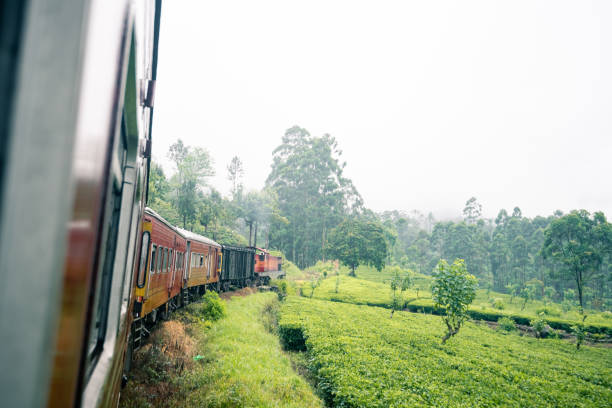istock Famous train ride in Sri Lanka 1215958720