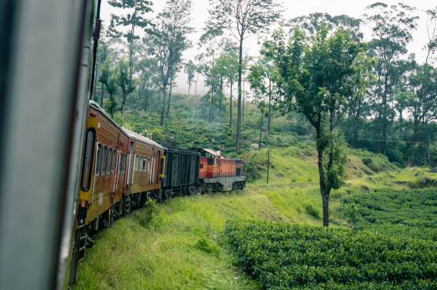 istock Famous train ride in Sri Lanka 1215958745