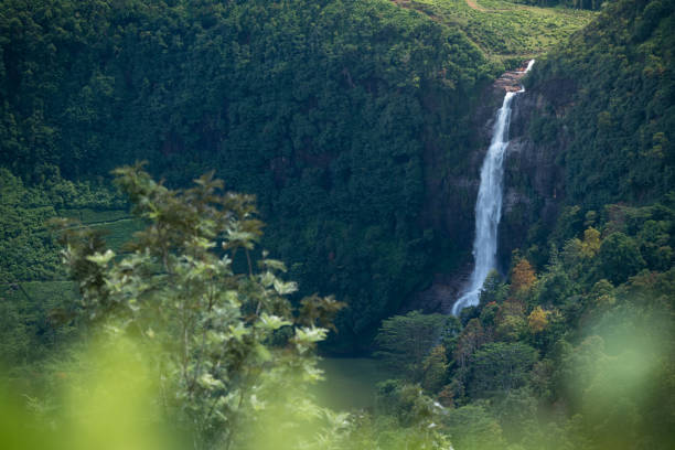istock Beautiful Waterfalls in Maskeliya, Sri Lanka 1215958849