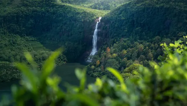 Photo of Beautiful Waterfalls in Maskeliya, Sri Lanka