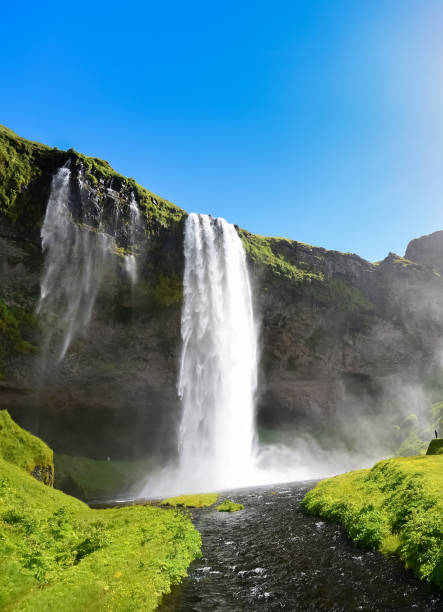 istock Seljalandsfoss waterfall in Iceland in Summer 1215959705