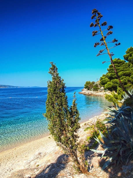 Paradise Adriatic Beach stock photo