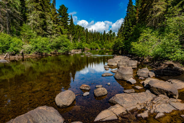 Oxtongue River in the Algonquin Provincial Park