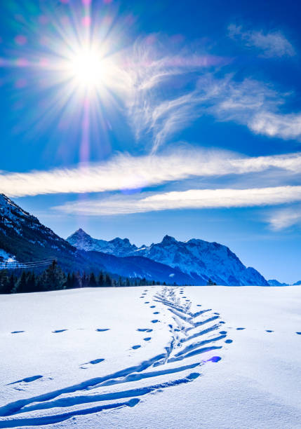 istock karwendel mountains near wallgau 1215962674