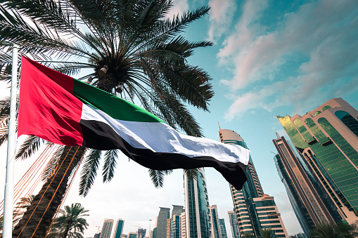 uae flag against the dubai skyline