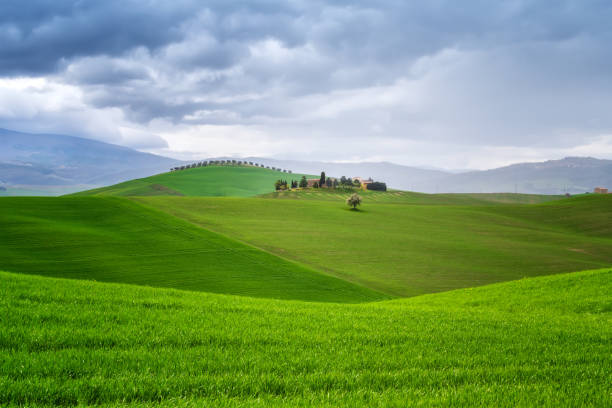 istock Tuscany landscape with green rolling hills 1215975737