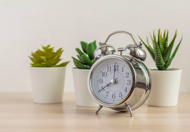 istock Vintage alarm clock next to indoor plants on the table. 1215977216