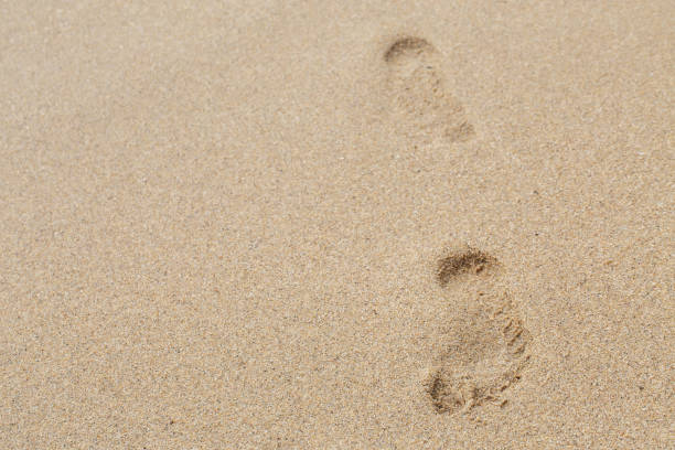 istock footprints on the brown sand in Thailand 1215981410