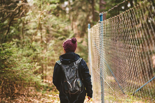 Woman with backpack walking in forest. Back view in early spring forest near the fence