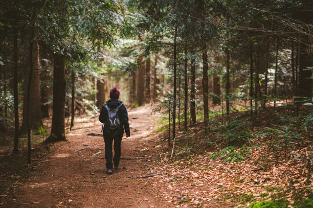 istock Woman with backpack on forest trail 1215983319
