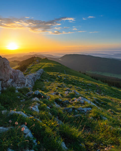 beautiful sunrise, old stone wall and lush green grass seen from the Chasseral mountain Picture from the mountain Chasseral in the swiss jura mountains, near Biel Bienne,  Lake Biel, Canton of Bern, Switzerland, Europe jura stock pictures, royalty-free photos & images