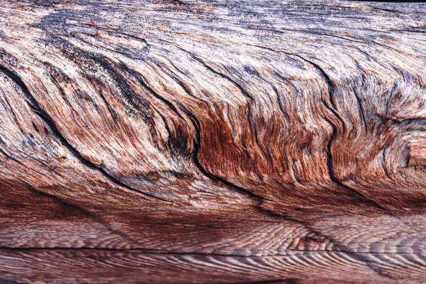 istock Background texture of old wood with beautiful structural lines close-up. 1215985255