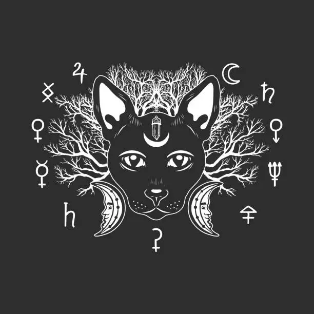 Vector illustration of Black cat with crescent on forehead on dark background.