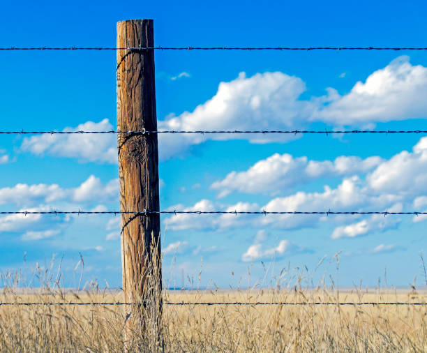 prairie fence - barbed wire rural scene wooden post fence imagens e fotografias de stock