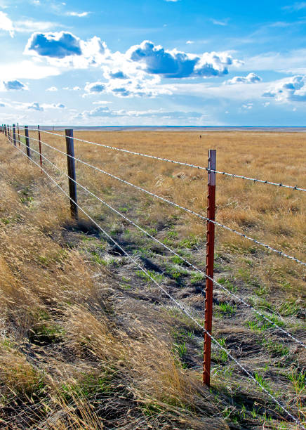 Great Plains in Eastern Colorado A barbed wire fence stretched across the prairie of Eastern Colorado. fence3 stock pictures, royalty-free photos & images