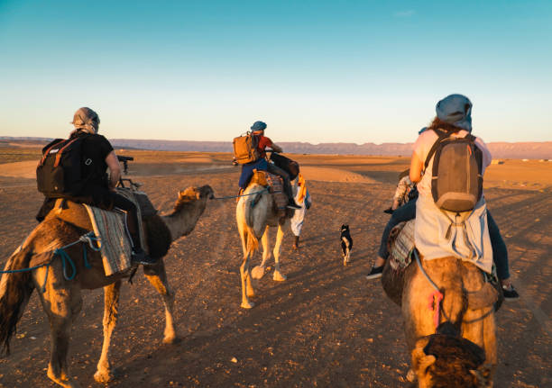 istock Backpackers Riding Camels In Desert Against Sky 1215995416