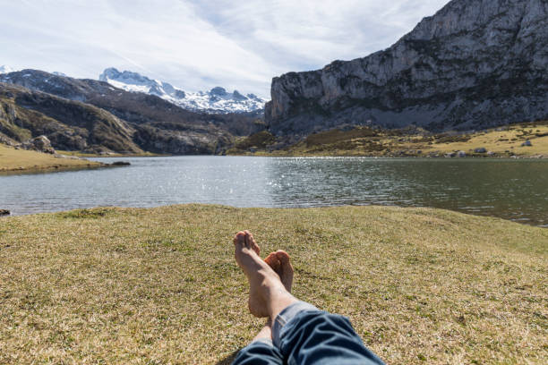 istock resting on the lake shore 1215999179