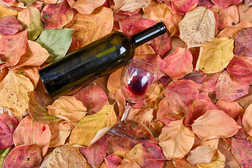 Dry Red Wine in big wine glass, autumn still life with leaves, wine tasting concept, rustic style, selective focus