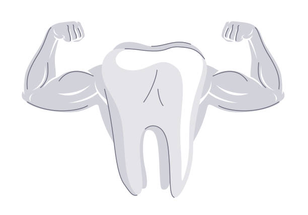 istock White healthy tooth with strength muscular hands concept isolated vector illustration, strong teeth, minimal simple style drawing. 1215999985
