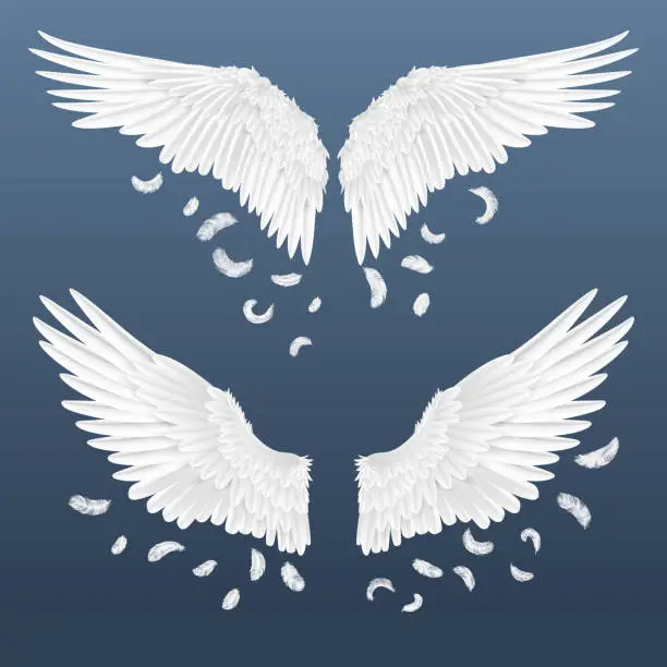 Vector illustration of Realistic wings. White isolated pair of angel wings with falling feathers, 3D bird wings design. Vector template